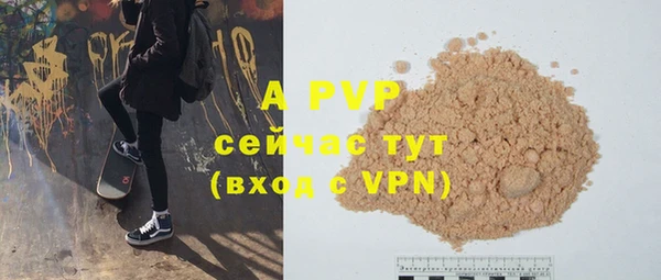 spice Верея