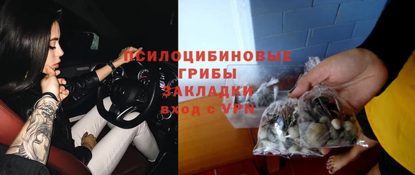 spice Верея
