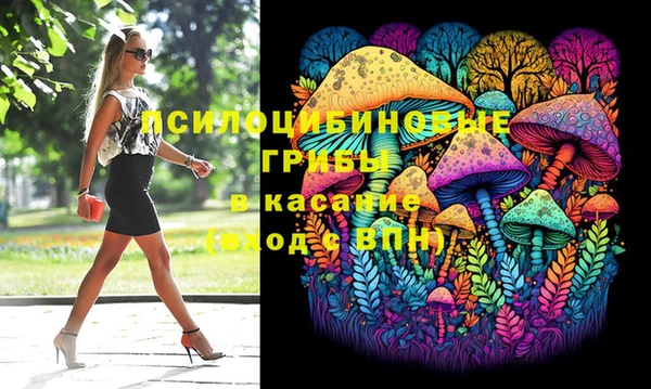 соль ск Бородино
