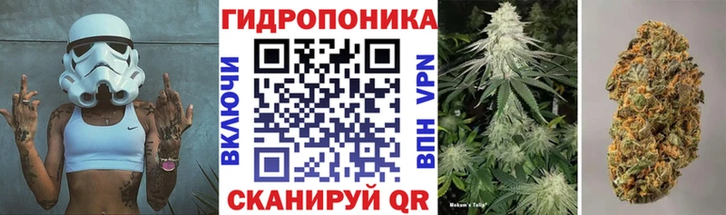 Бошки марихуана гибрид  Гусиноозёрск 